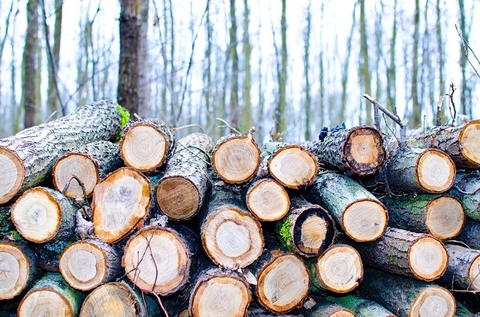 hout